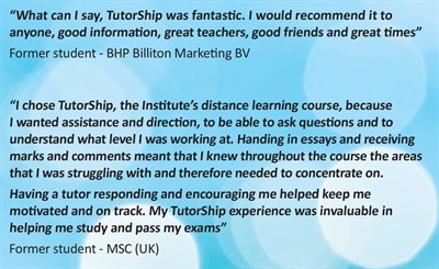 2017 Tutorship leaflet - quotes about TS